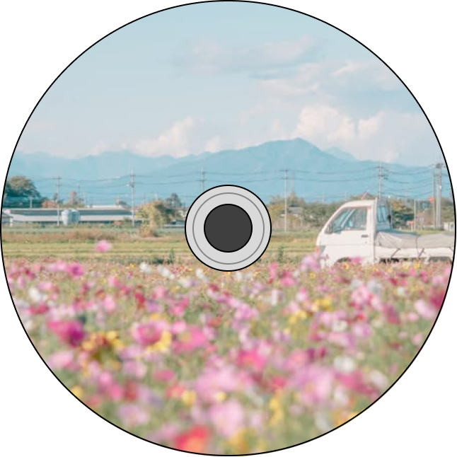 Spinning Image