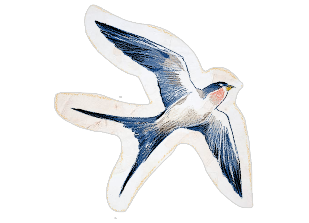 Sparrow dead
